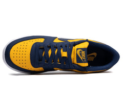 Nike Terminator Low OG