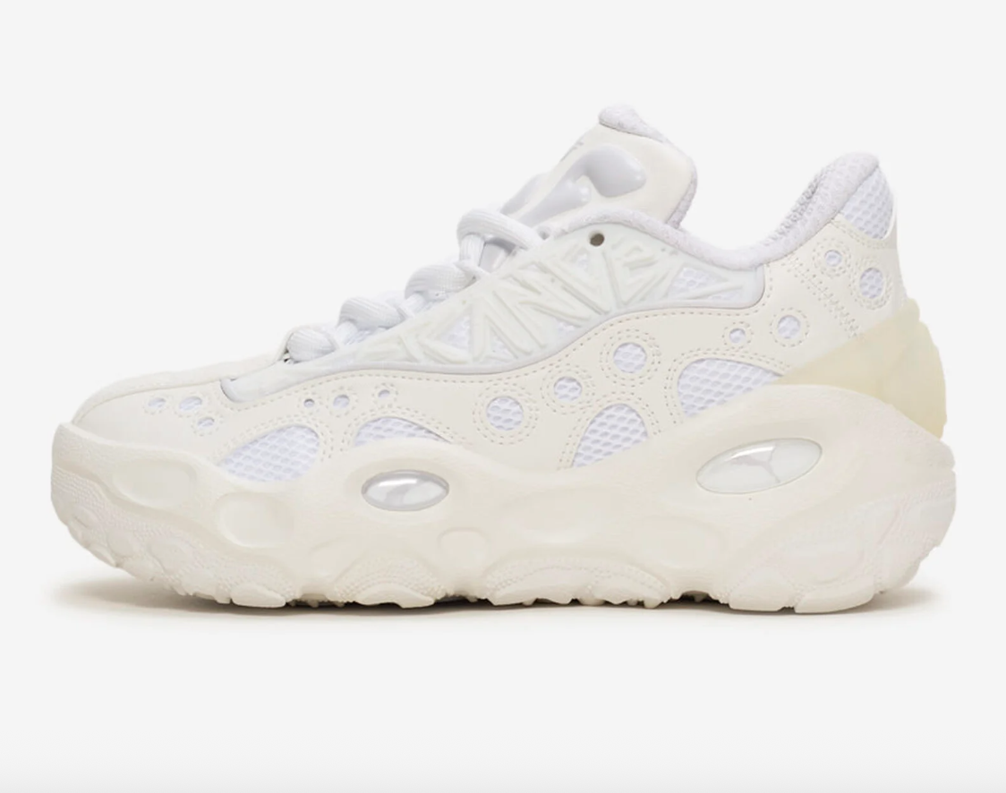 Puma La France RNNR